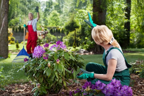 Landscaping team using safety measures in a garden setting