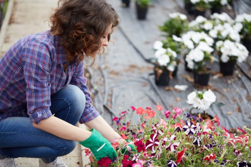 Landscaping Heston accessibility statement opening with inclusive website imagery