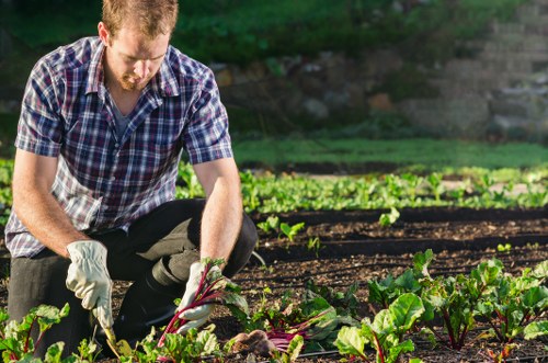 Supplier compliance review and audit documents for landscaping operations