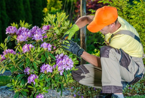 Screen-reader friendly content structure for accessible landscaping information