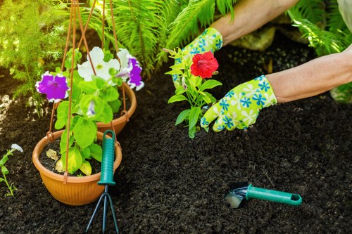 Garden landscaping for Heston homes with practical planting and paving