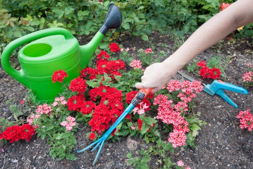 Garden makeover planning for a Heston rear garden