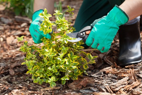 Seasonal planting design for a Heston garden landscape