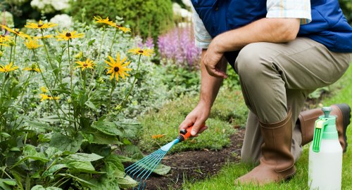 Landscape quote and payment terms for outdoor work