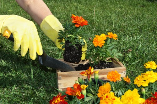 Inspection of a landscaped area during complaint assessment
