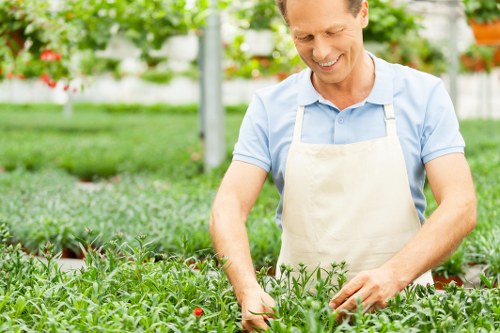 Ongoing review of accessible Landscaping Heston web content