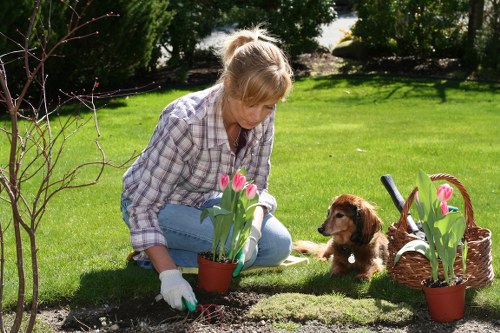 Supervisor reviewing safety practices during landscape maintenance