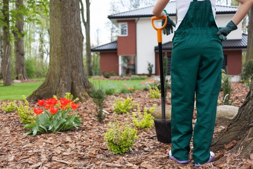 Manager preparing a formal response to a landscaping concern