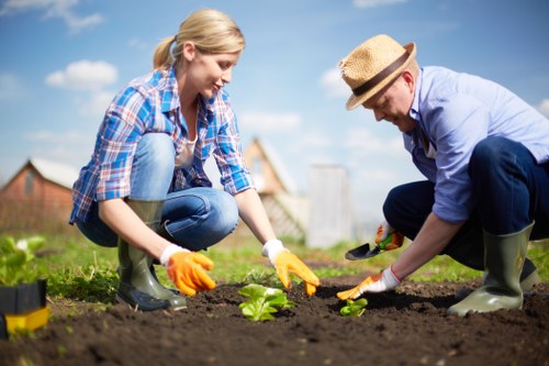 Keyboard navigation and clear page layout for Landscaping Heston users